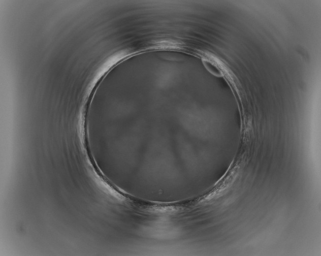 X0000113601243200909251150