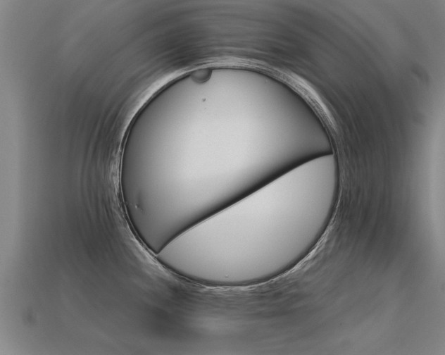 X0000113601244200909251150