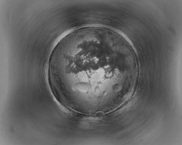 X0000113601245200909251150