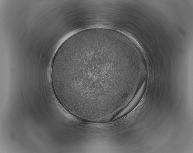 X0000113601246200909251150