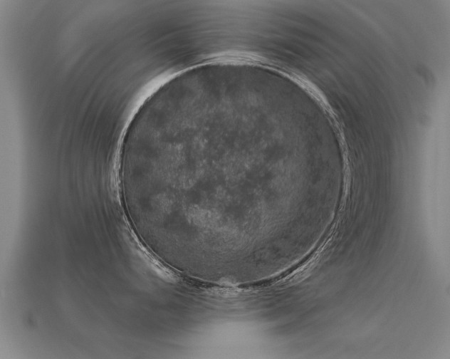 X0000113601248200909251150