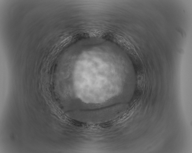 X0000113601249200909251149