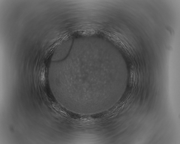 X0000113601250200909251149