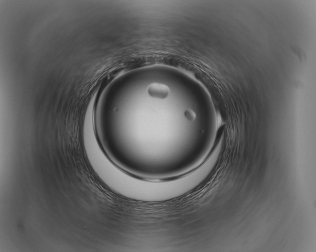 X0000113601252200909251149