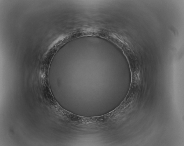 X0000113601254200909251149