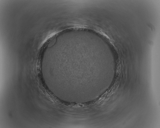 X0000113601255200909251149