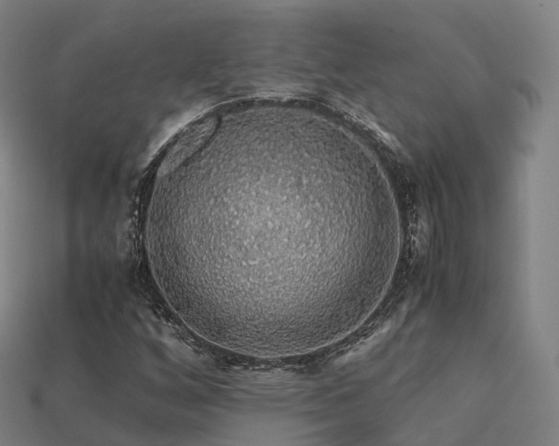 X0000113601256200909251149