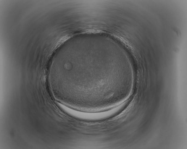 X0000113601257200909251149