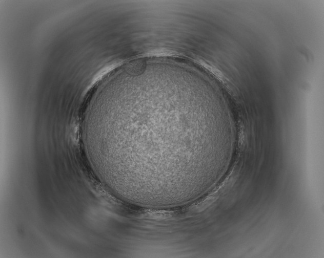 X0000113601258200909251149