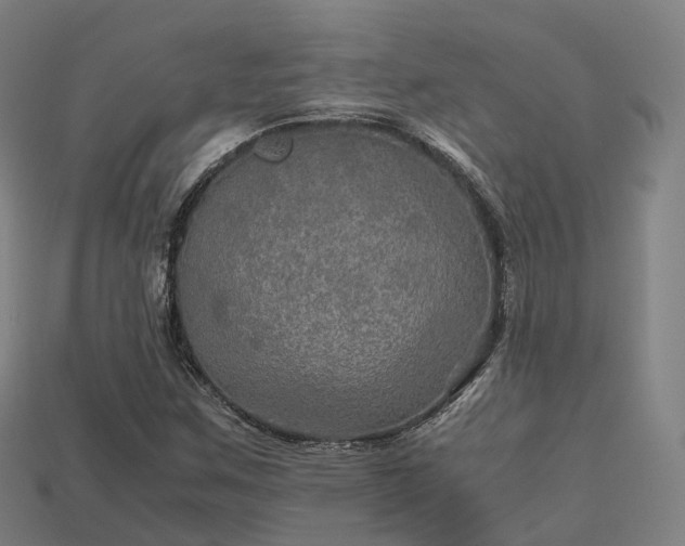 X0000113601259200909251149