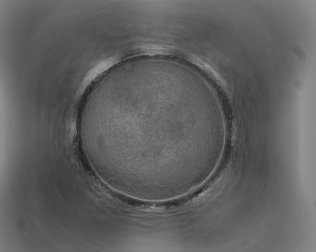 X0000113601261200909251149