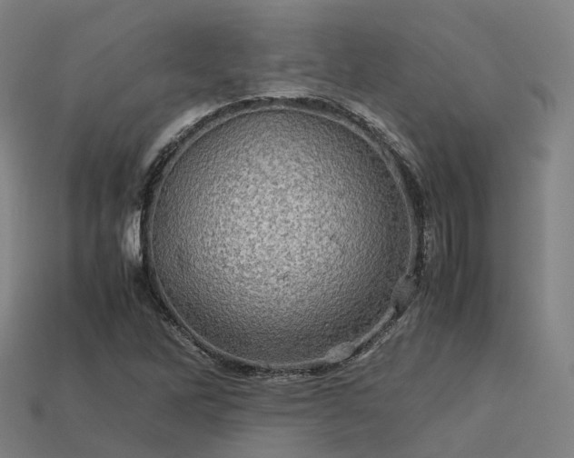 X0000113601262200909251149