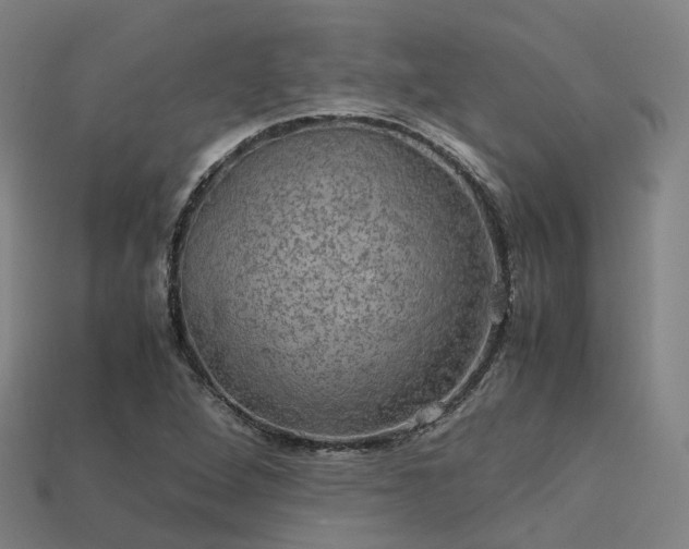 X0000113601264200909251149