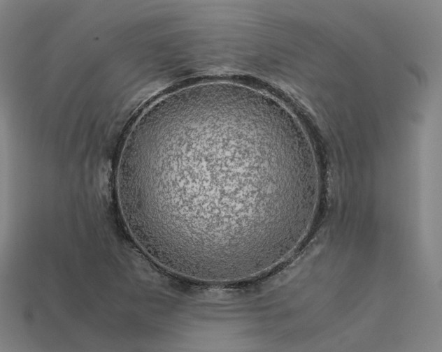 X0000113601265200909251149