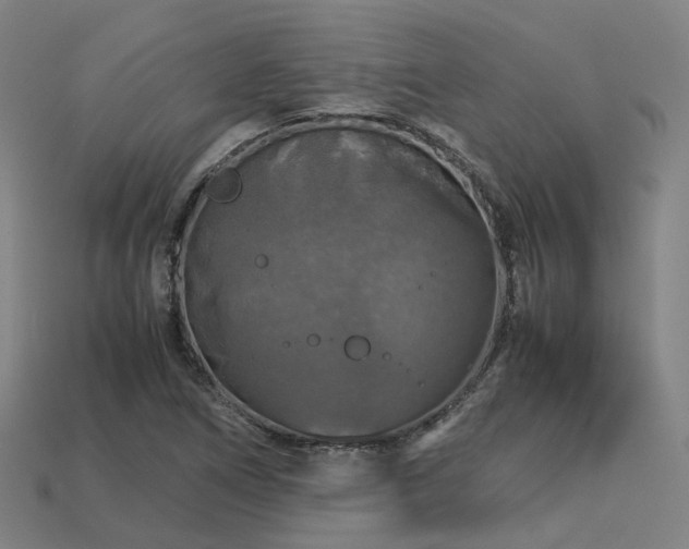 X0000113601266200909251149