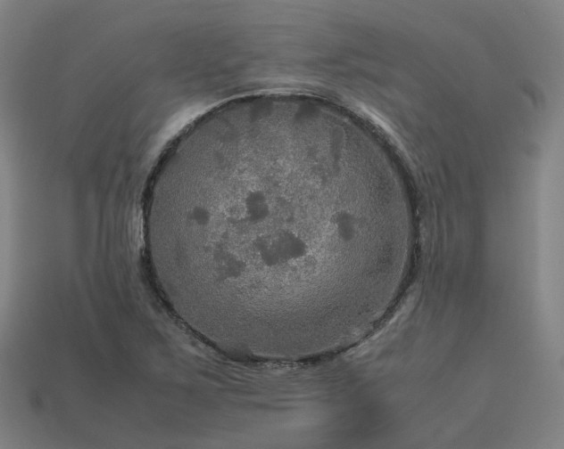 X0000113601267200909251149