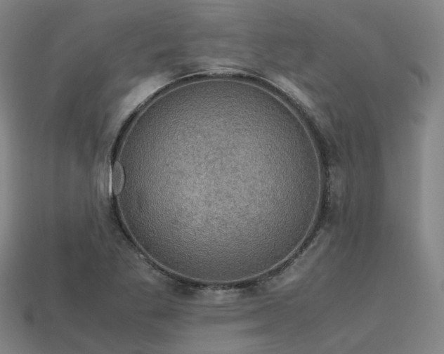 X0000113601269200909251149