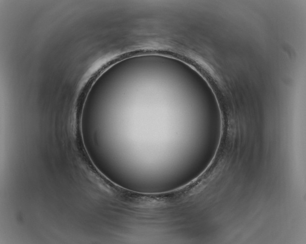 X0000113601270200909251149