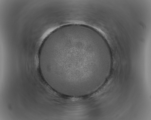 X0000113601271200909251149