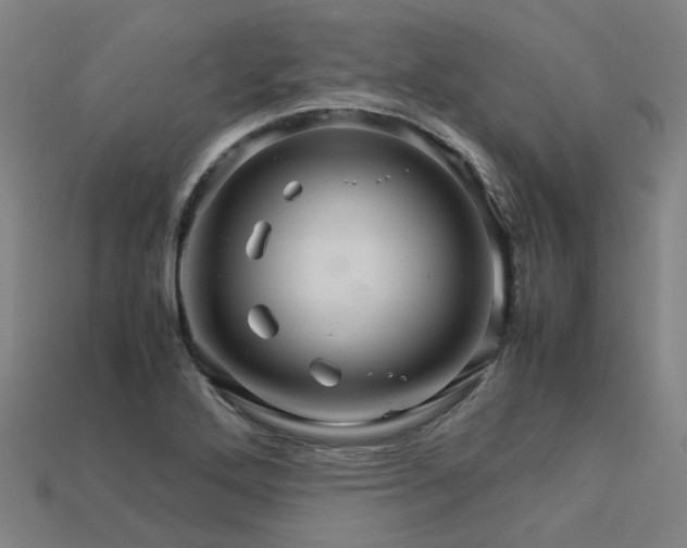 X0000113601272200909251149