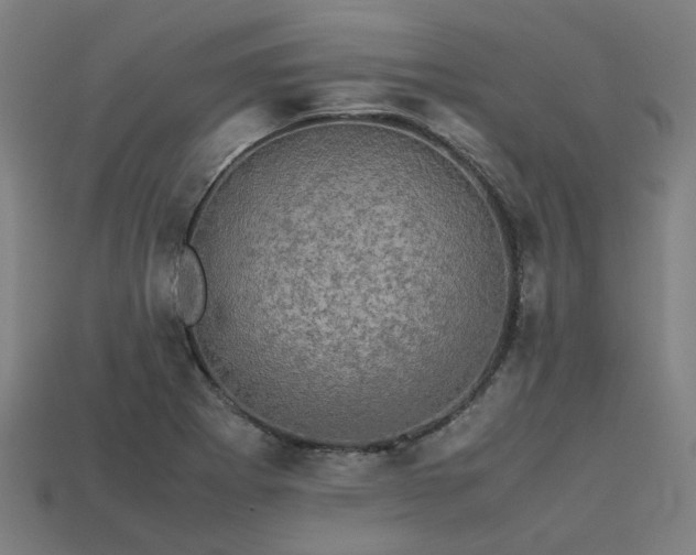 X0000113601273200909251149