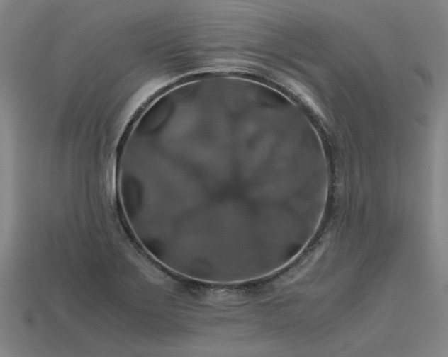 X0000113601275200909251149