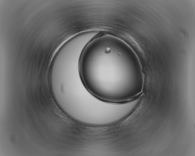 X0000113601276200909251149