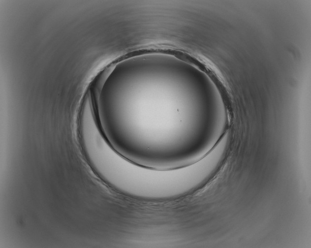 X0000113601277200909251148