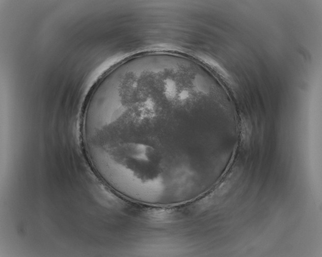 X0000113601278200909251148