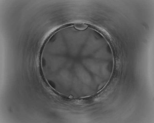 X0000113601279200909251148