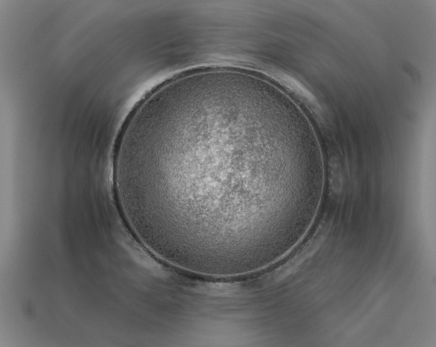 X0000113601280200909251148