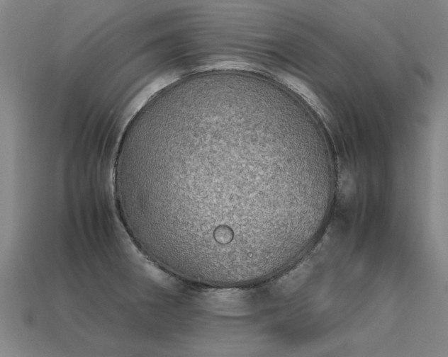 X0000113601282200909251148