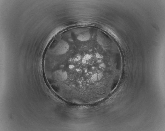 X0000113601283200909251148