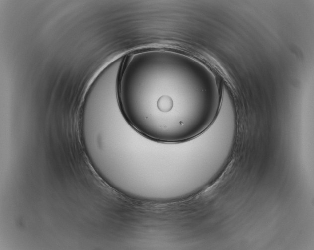 X0000113601284200909251148