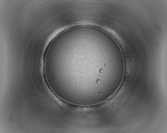 X0000113601286200909251148