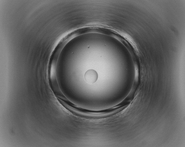 X0000113601288200909251148