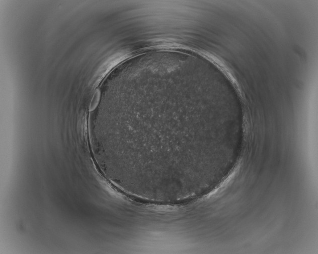 X0000113601289200909251148