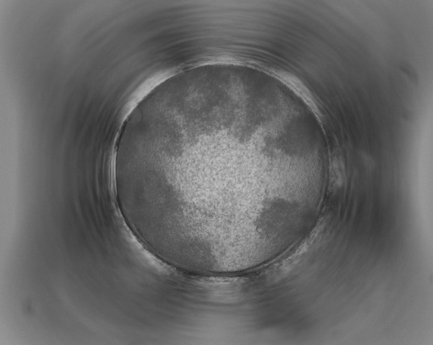 X0000113601290200909251148