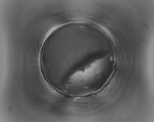 X0000113601291200909251148