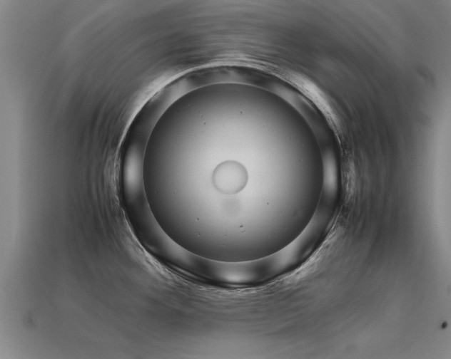 X0000113601292200909251148