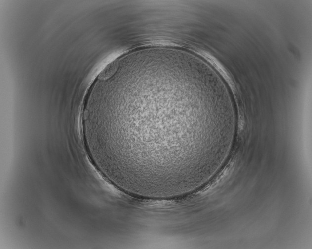 X0000113601293200909251148