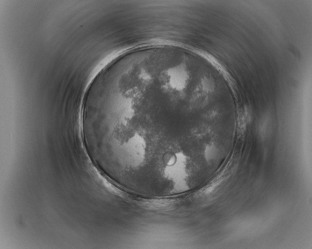 X0000113601294200909251148