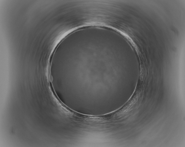 X0000113601295200909251148