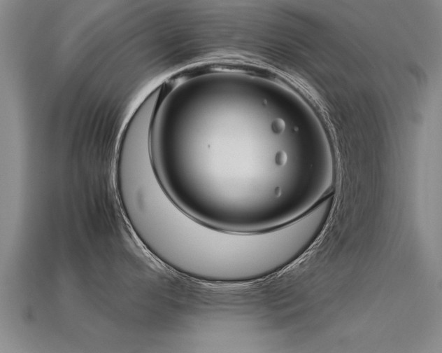 X0000113601296200909251148