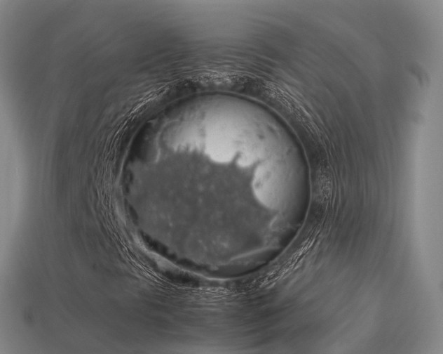 X0000113601297200909251148