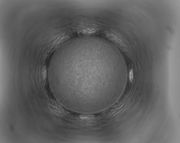 X0000113601299200909251148