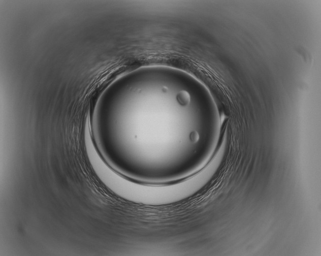 X0000113601300200909251148