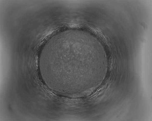 X0000113601301200909251148