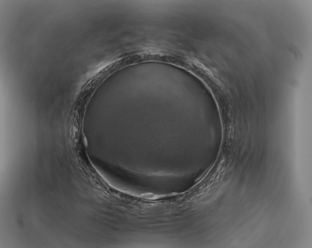 X0000113601303200909251148