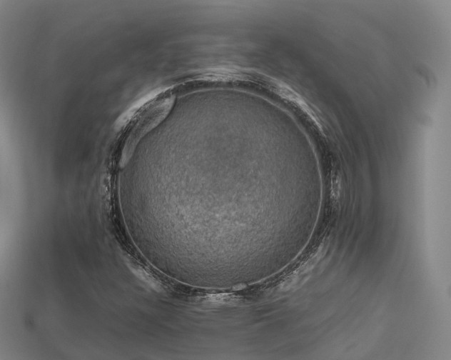 X0000113601304200909251148